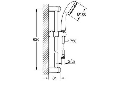 Душевой гарнитур Grohe New Tempesta 100 27598001