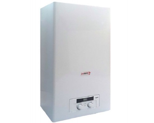 Котел газовый Protherm LYNX (Рысь) 24 кВт